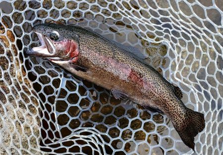 何かを掴めたのかな ～フィッシングパーク高島の泉～